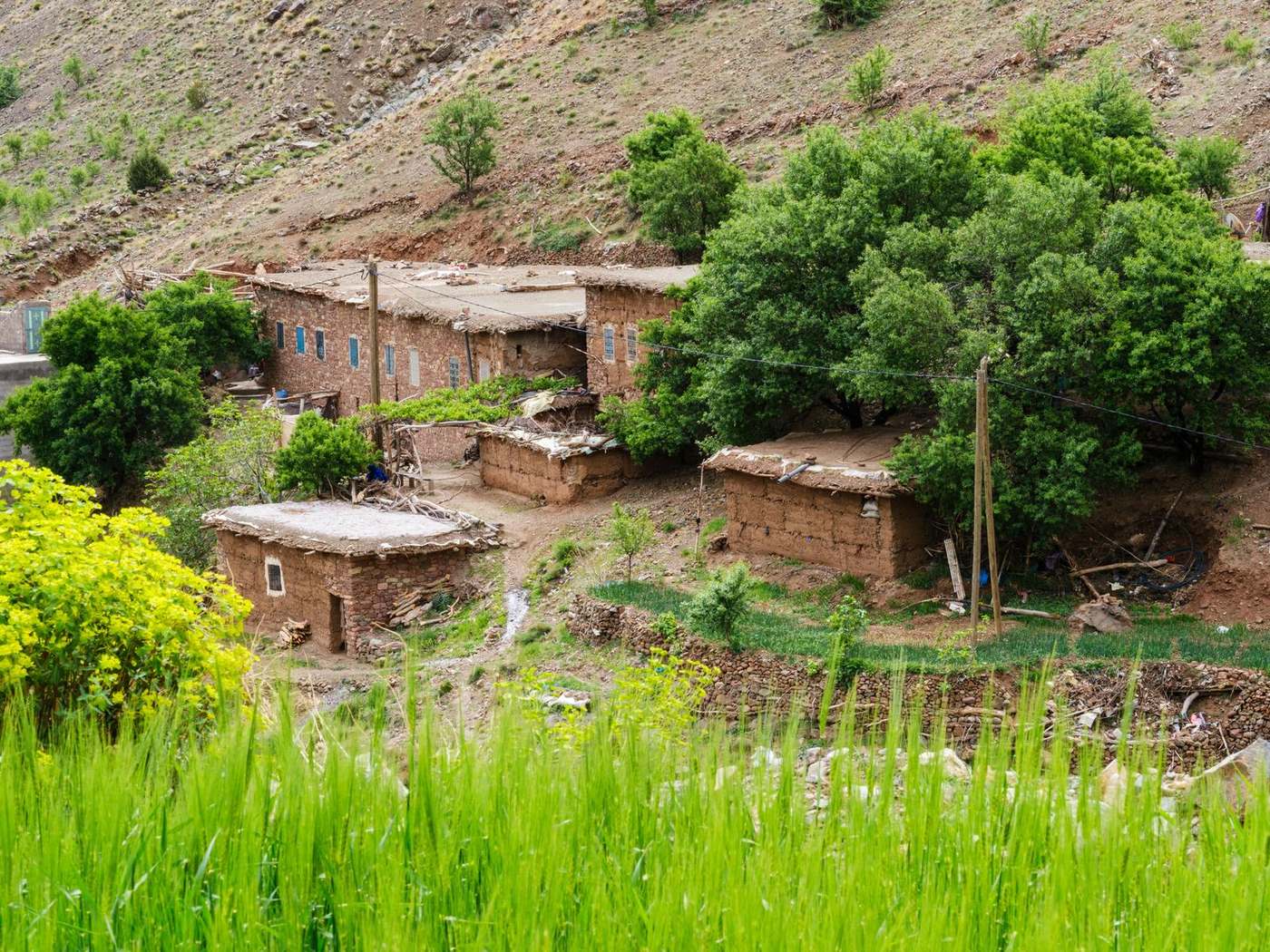 Casas de piedra y campos verdes en un pueblo bereber cerca de Imlil